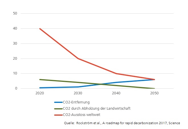 Brennpunkt Grafik